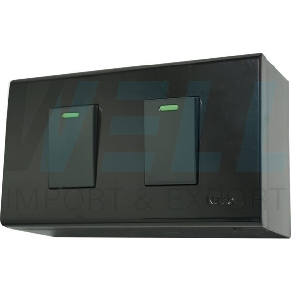 G-17-1 (Copy) บล็อกลอย ขนาด 2x4 นิ้ว พร้อม สวิตซ์ 2 ตัว สีดำ (G-17)