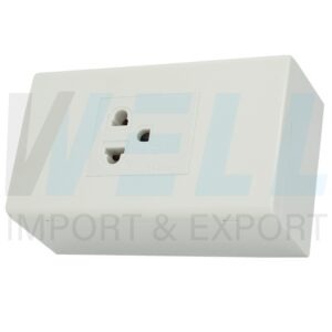 G-44-1 (Copy) บล็อกลอย ขนาด 2x4 นิ้ว พร้อม ปลั๊กกราวด์เดี่ยว 1 ตัว (G-44)